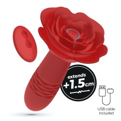 ROMEO PLUG ANAL COM...